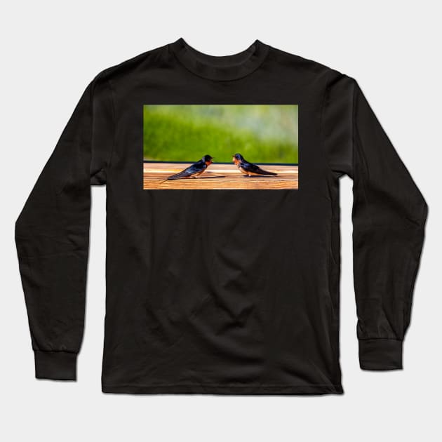 A Pair of Barn Swallows Arguing Long Sleeve T-Shirt by jecphotography